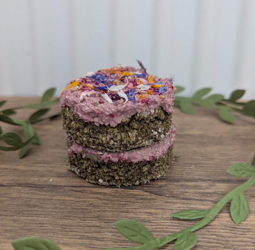 Rabbit birthday cake treat
