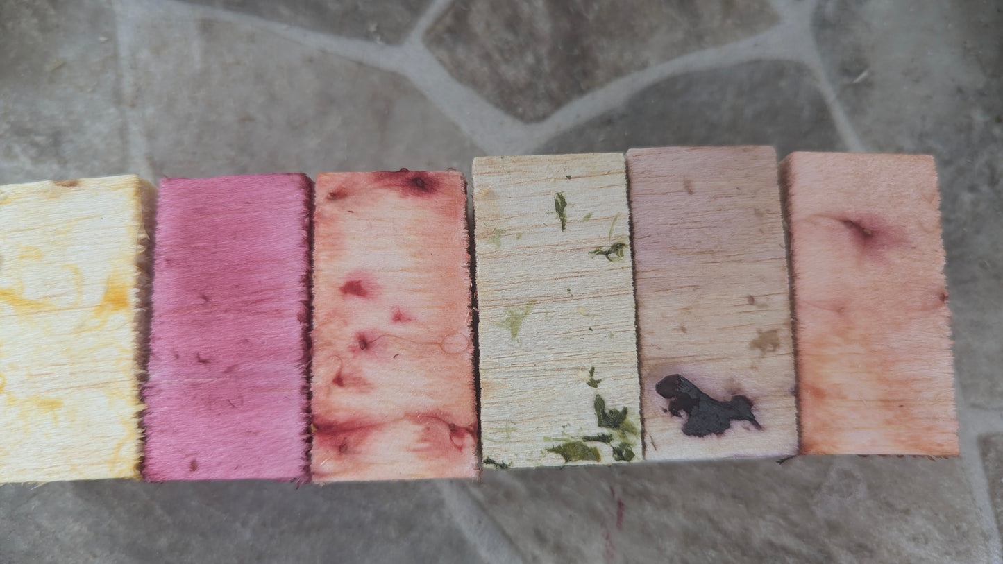 Flavoured Balsa Chews for rabbits and other small animals