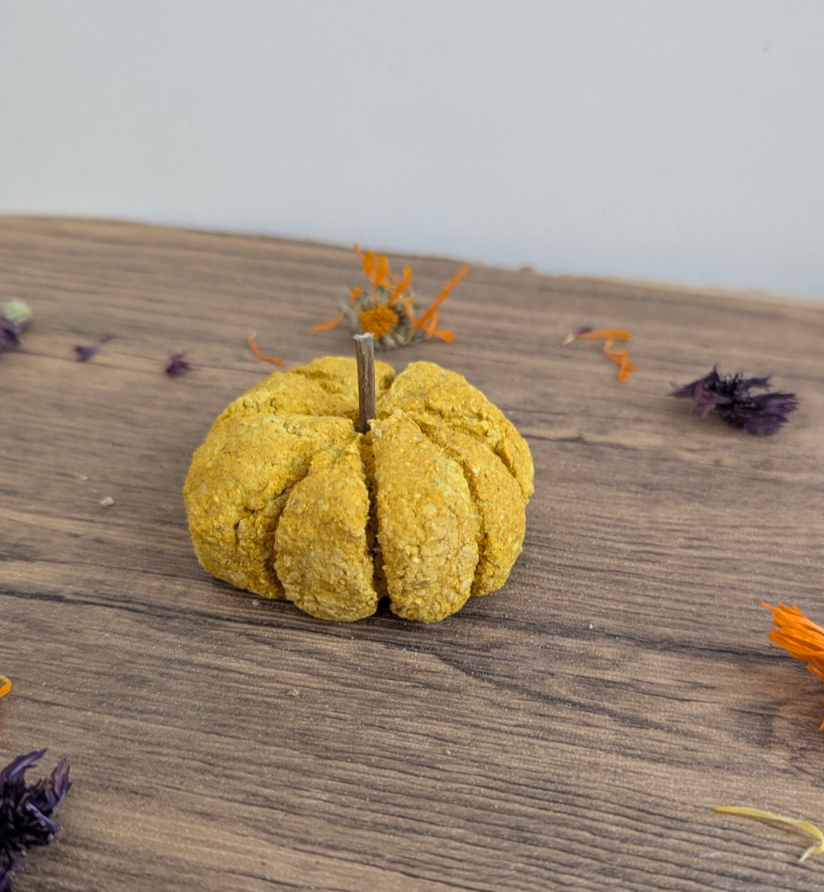 Pumpkin treat