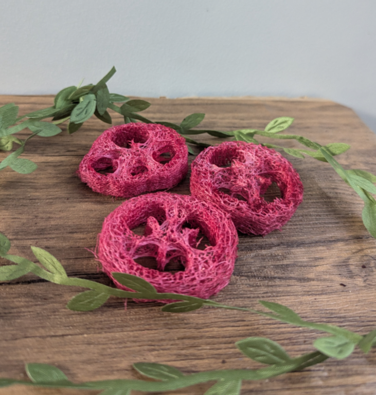 Hibiscus flavoured loofahs