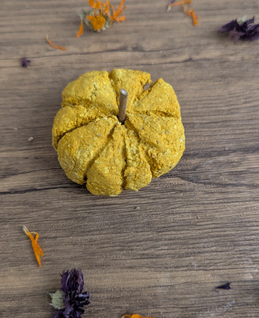 Pumpkin treat
