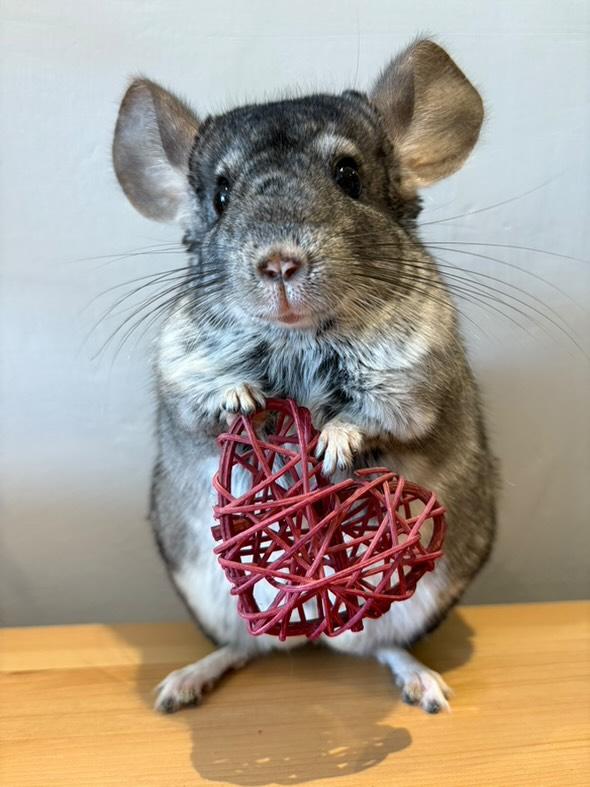 Hibiscus flavoured rattan hearts