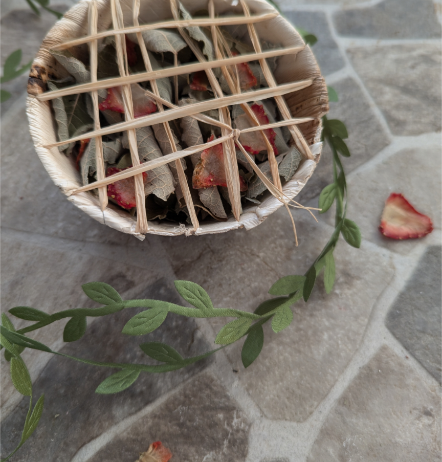 Fruit and Forage Pie treat for rabbits and other small animals