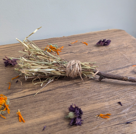 Broomsticks chew toy
