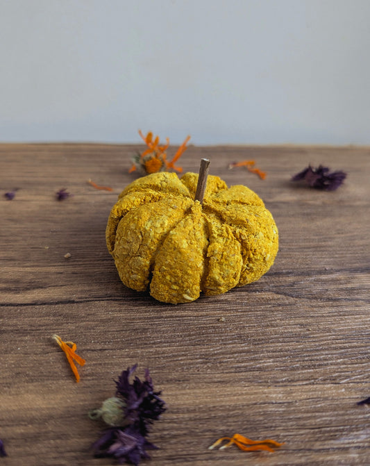 Pumpkin treat