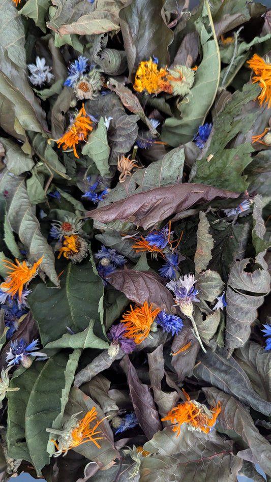 Halloween spooky forage