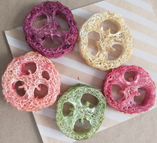 5 pack Flavoured loofah slices