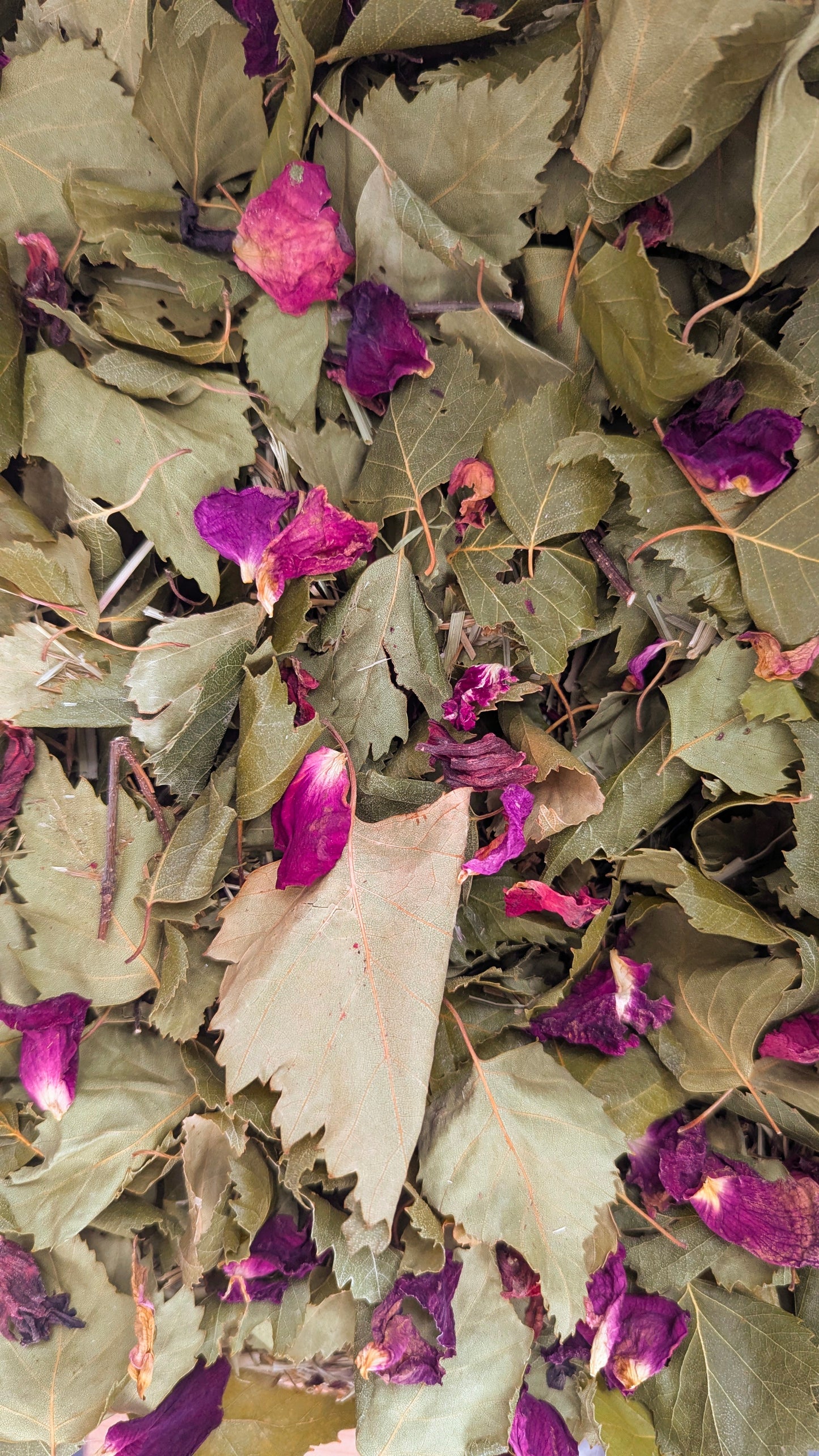 Forage bag